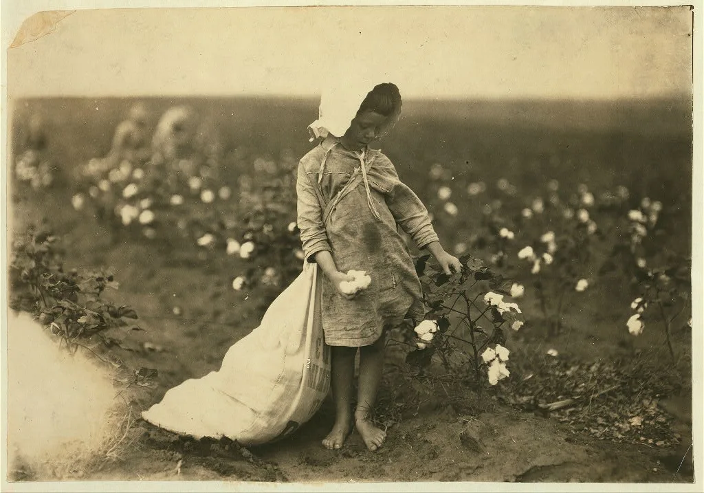 Vera Hill, 5 years old picks 25 pounds a day. See 4580.  Location:…, Oklahoma, 1916