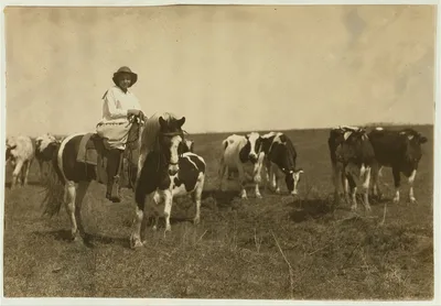 [Sarah Crutcher, 12-year-old girl herding cattle. Route 4, c/o S.O.…, Oklahoma, 1917