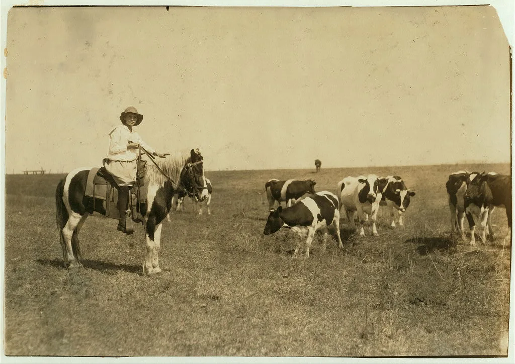 [Sarah Crutcher, 12-year-old girl herding cattle. Route 4, c/o S.O.…, Oklahoma, 1917