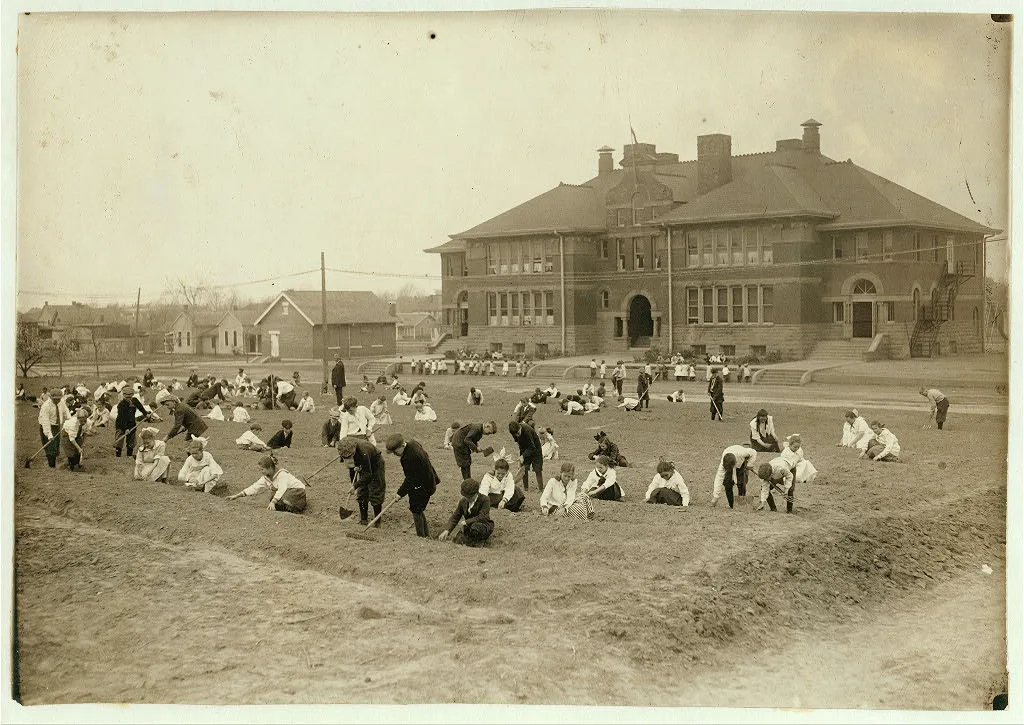 [School garden - Jefferson School. See Bliss report.]  Location:…, Oklahoma, 1917