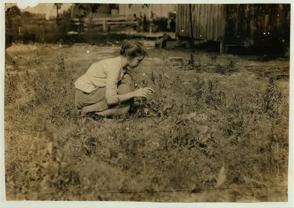 Tending the chicks. 16 year old girl. Home of William Olliges,…, Kentucky, 1916