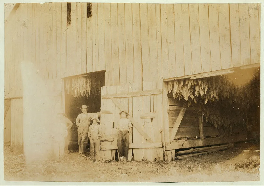 Barn of Daniel Barrett and group shown in photos 4464-5-6. Location:…, Kentucky, 1916
