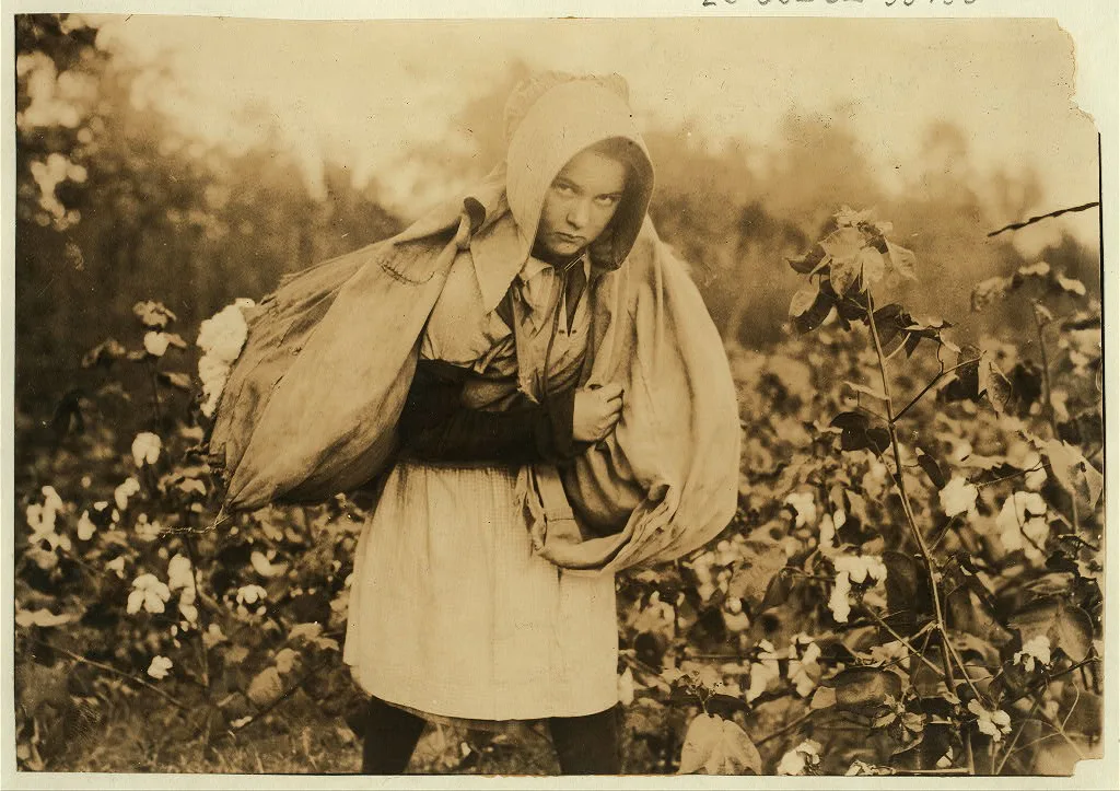 [Callie Campbell, 11 years old, picks 75 to 125 pounds of cotton a…, Oklahoma, 1916