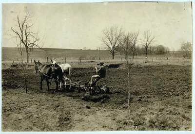 One of the boys disking the ground on the farm. Pauls Valley Training…, Oklahoma, 1917