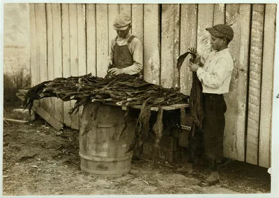 c/o W.A. Daniel - Route 2 - Woodburn, Ky. Lester Daniel, [...] years…, Kentucky, 1916