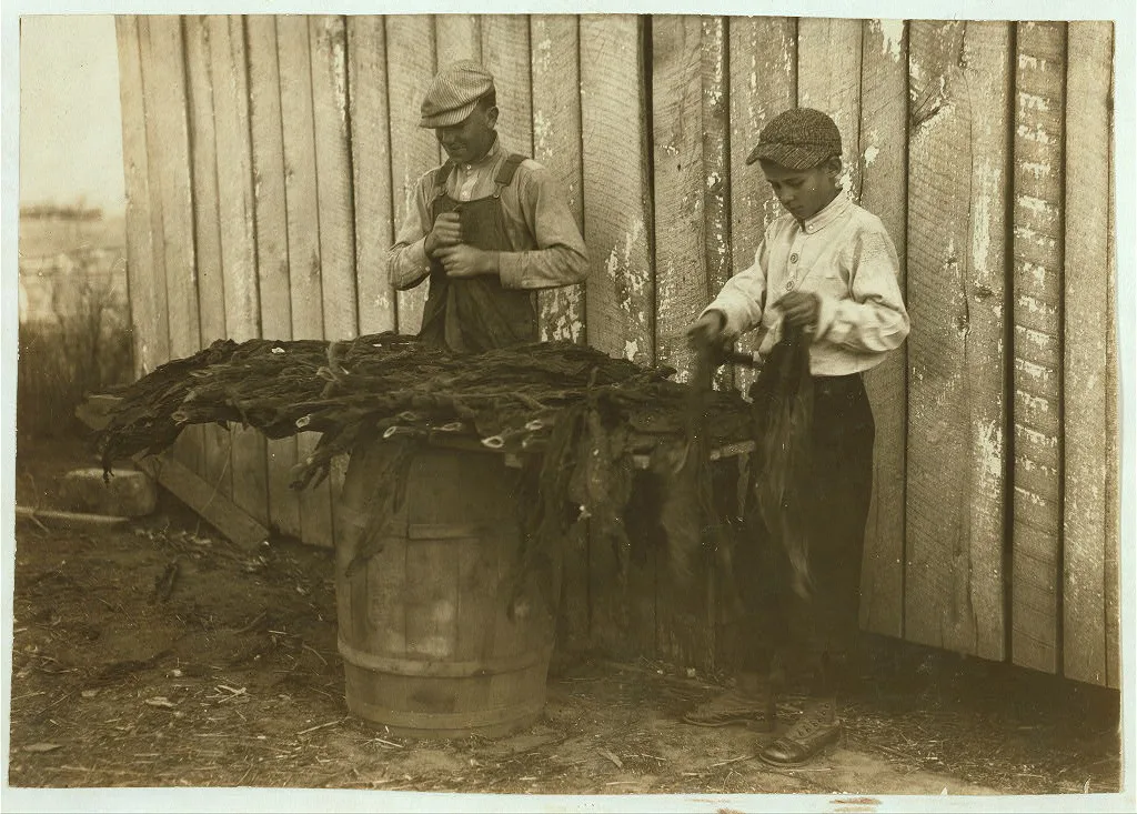 [c/o W.A. Daniel - Route 2 - Woodburn, Ky. Lester Daniel, [...] years…, Kentucky, 1916