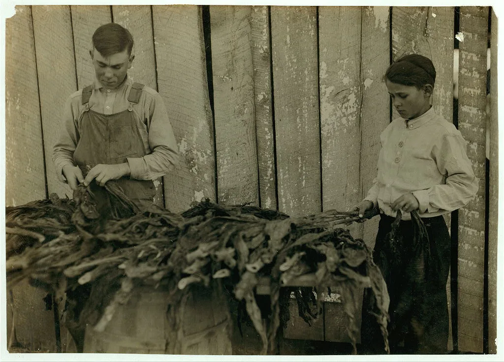[c/o W.A. Daniel - Route 2 - Woodburn, Ky. Lester Daniel, [...] years…, Kentucky, 1916
