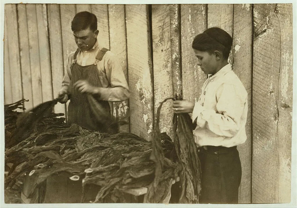 [c/o W.A. Daniel - Route 2 - Woodburn, Ky. Lester Daniel, [...] years…, Kentucky, 1916