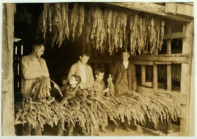 [B.F. Howell, Route 4, Bowling Green, Ky. and part of his family…, Kentucky, 1916