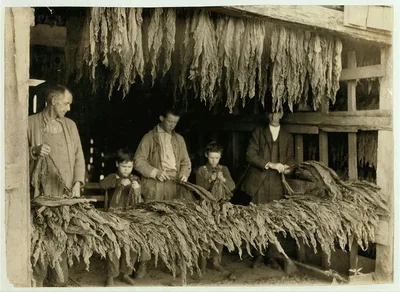 [B.F. Howell, Route 4, Bowling Green, Ky. and part of his family…, Kentucky, 1916