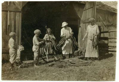 [Mrs. J.L. Hazel and children stripping tobacco. A very interesting…, Kentucky, 1916