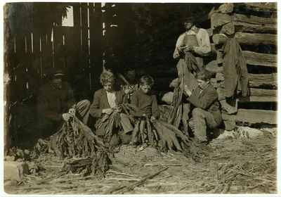 [Family of J.H. Burch, Route 1, Rockfield, Ky. Boys 12, 14 and 17…, Kentucky, 1916