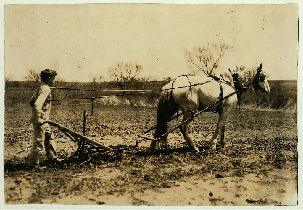 Herschel Bonham, Route A, Box 118, an 11-year-old boy cultivating…, Oklahoma, 1917