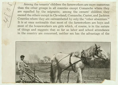 [Herschel Bonham, Route A, Box 118, an 11-year-old boy cultivating…, Oklahoma, 1917