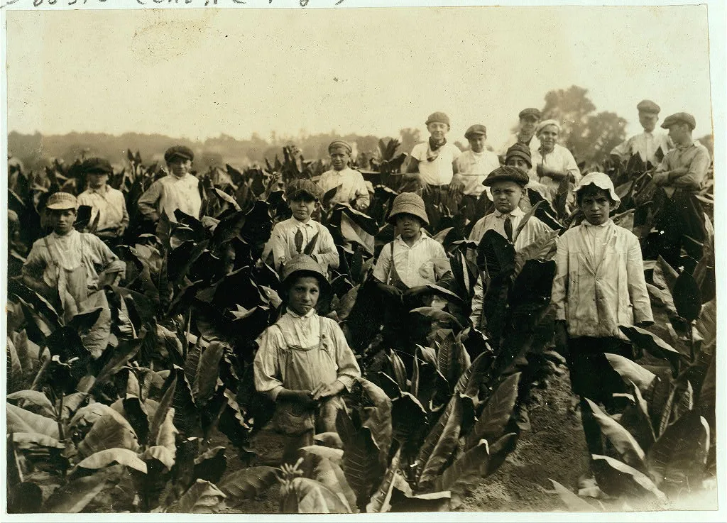 Field-workers, Goodrich Tobacco Farm, near Gildersleeve, Conn. See…, Connecticut, 1917